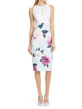 Ted Baker London Annile Magnificent Ruched Dress   Size 0   Like New